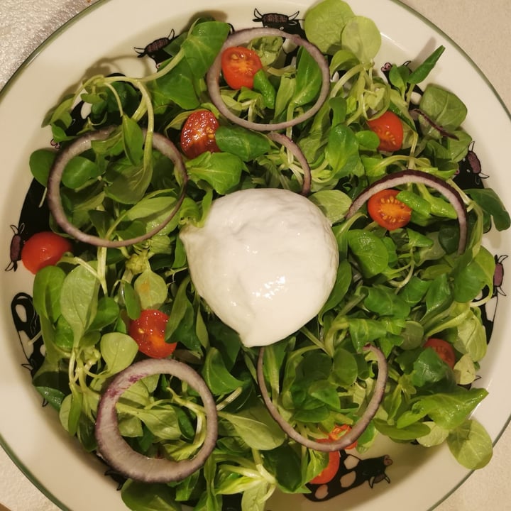 photo of Dream Farm Alternativa vegetale alla mozzarella shared by @lindatheweirda on  12 Oct 2023 - review