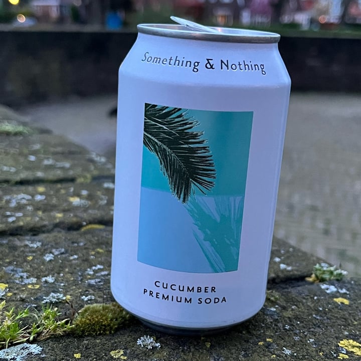 photo of Something & Nothing Cucumber Seltzer shared by @alessiatal on  04 Apr 2024 - review