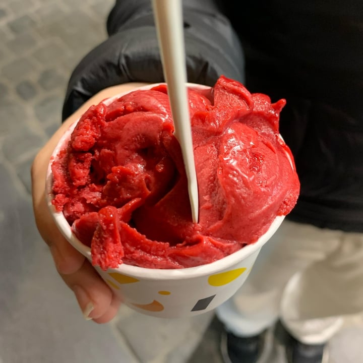 photo of Australian Home Made Ice Cream Brussels - Grand Place Sorbet shared by @miriam27 on  05 May 2025 - review