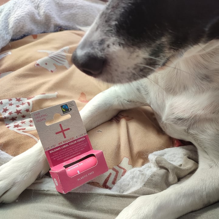 photo of i+m Lip Care Cherry shared by @theandalusianqueer on  31 Oct 2024 - review