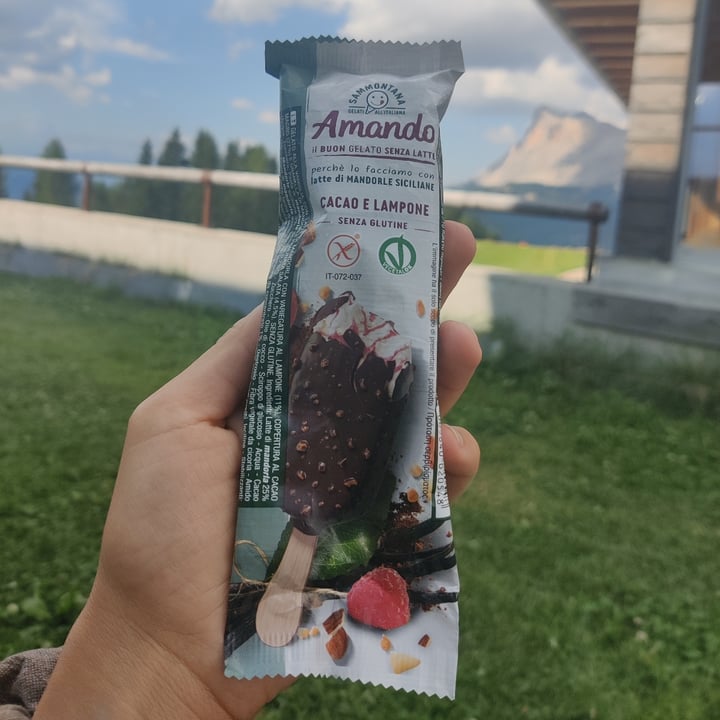photo of Sammontana amando stecco cacao e lampone shared by @extraveganza on  11 Aug 2024 - review