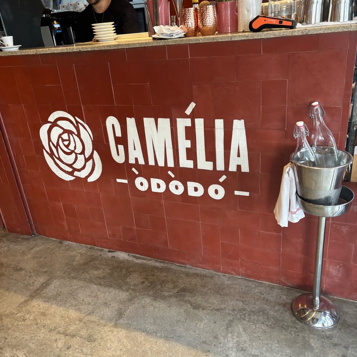 photo of Camelia Ododo Restaurante - Cafe & Bar Organico Curau da Bela shared by @malulemos on  20 May 2024 - review