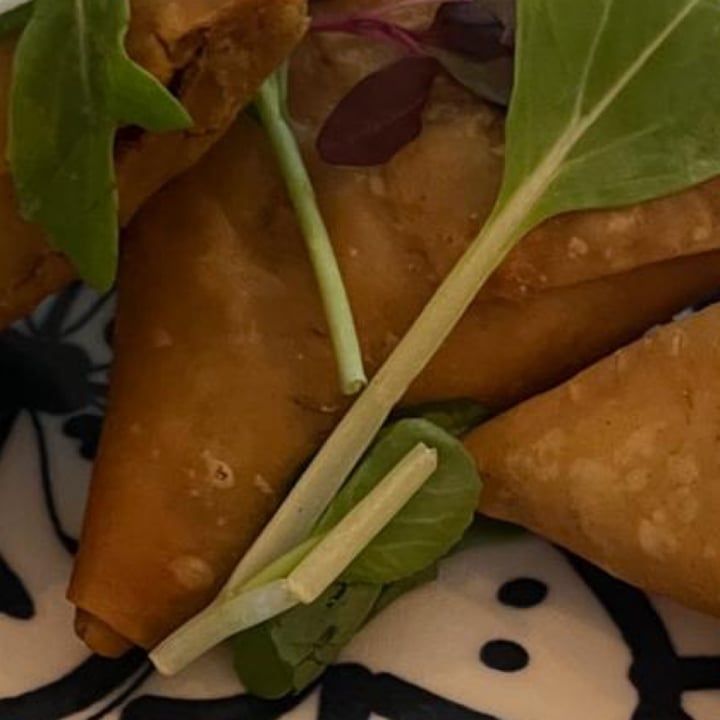 photo of The Vegan Chef Sandton Vegan cheese & sweetcorn samoosas shared by @globalvegan on  06 Sep 2025 - review