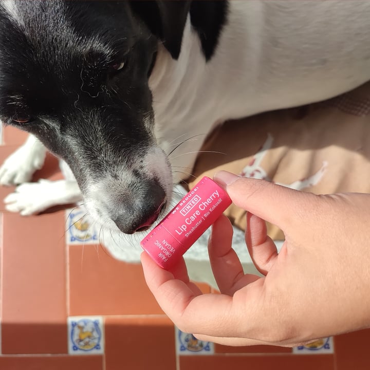 photo of i+m Lip Care Cherry shared by @theandalusianqueer on  31 Oct 2024 - review