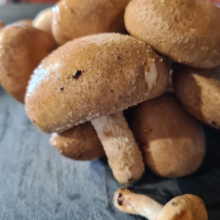 photo of Shroomee shimeji mushroom shared by @veronicagroen on  18 Mar 2024 - review