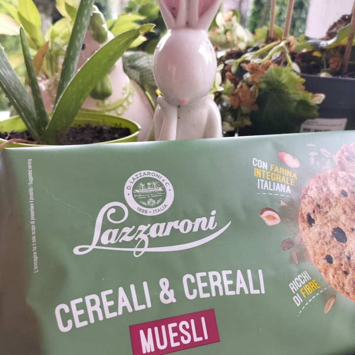 photo of Lazzaroni Biscotti Muesli shared by @raffa70s70 on  06 Sep 2023 - review