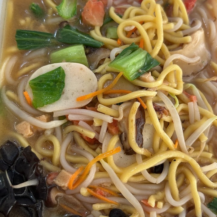photo of Evergreen Vegetarian Cuisine - 長素 Hokkien Mee shared by @georgejacobs on  24 Apr 2024 - review