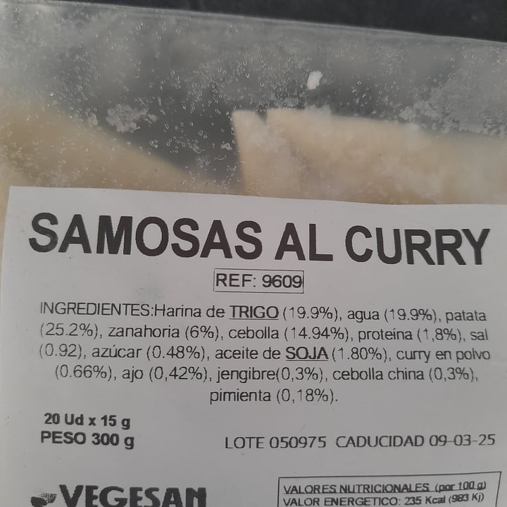 photo of Vegesan Samosas Al Curry shared by @danielgl on  14 Dec 2024 - review