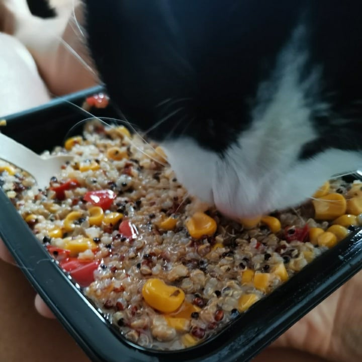 photo of Paliria Quinoa & Veggies shared by @ciupertica on  17 May 2025 - review