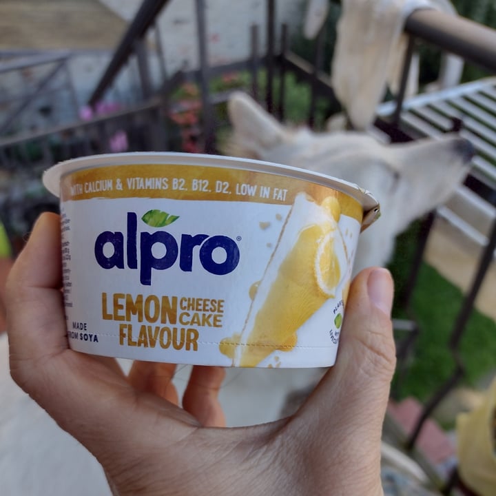 photo of Alpro Lemon Cheesecake Flavour Yoghurt shared by @dratini on  16 Nov 2024 - review