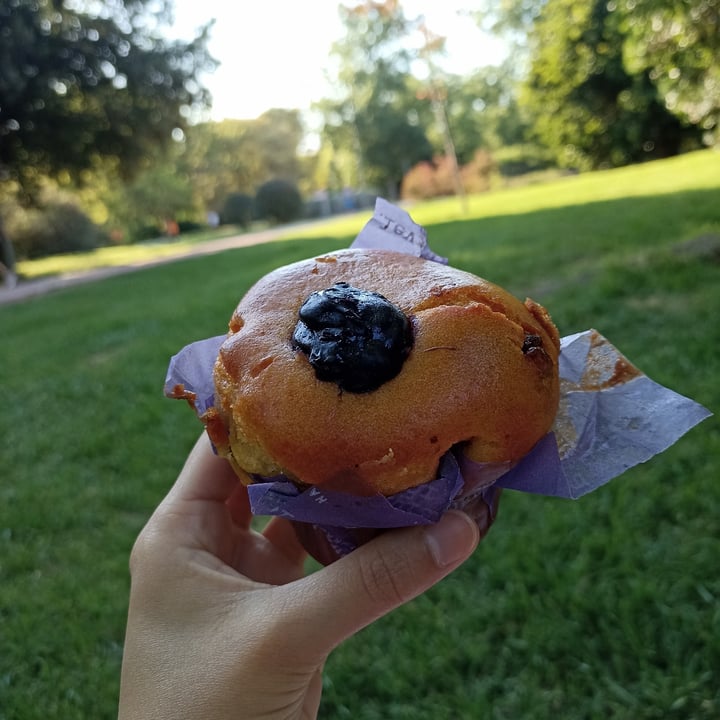 photo of Levaduramadre muffin de arándanos vegano shared by @fabuchi on  02 Jul 2025 - review