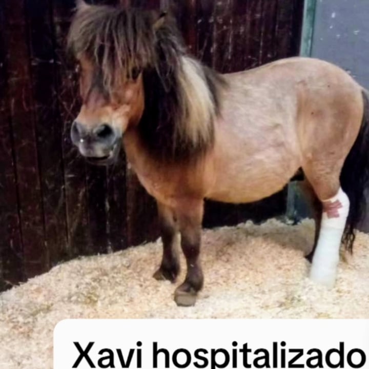 photo of undefined undefined shared by @fundacionelhogar on  21 Jun 2024 - review