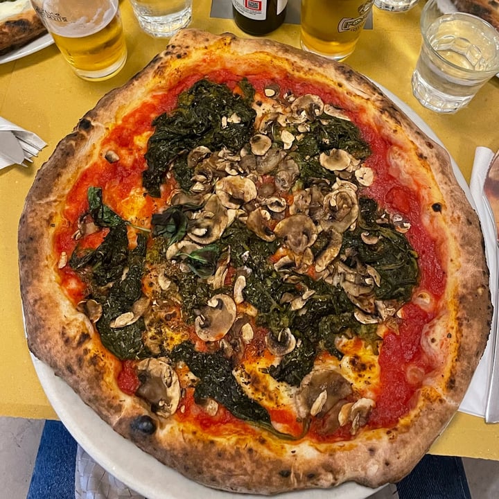 photo of Mediterranea Pizza Marinara Con Funghi e Friarielli shared by @auroracarlotta on  04 Feb 2024 - review