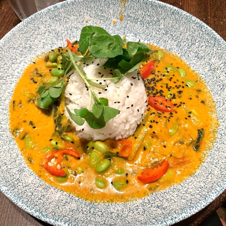 photo of The Cuckmere Inn Vegetable Penang Curry shared by @vegpledge on  27 Jan 2025 - review