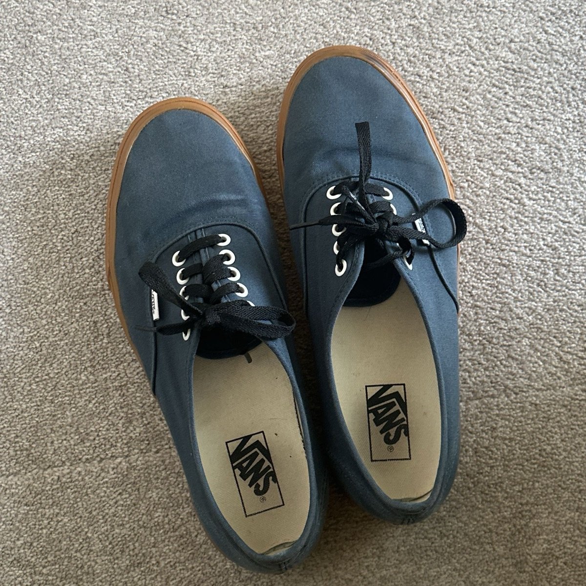 Vans Vans Authentic Reviews abillion