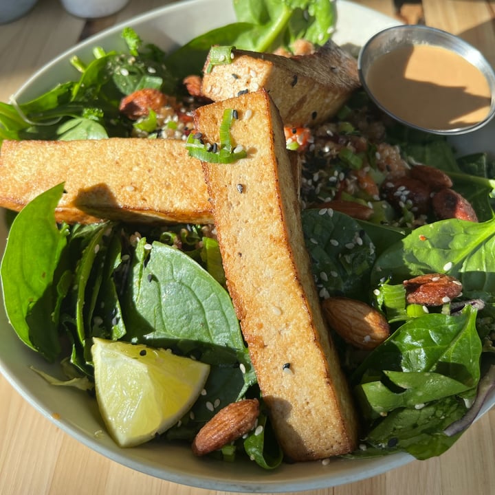 photo of Veggie Grill Seasame Tofu Supergreens Salad shared by @skeeter on  05 Jan 2024 - review