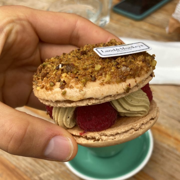 photo of Land&Monkeys Amsterdam Macaronade Pistache Framboise shared by @david- on  12 Apr 2024 - review