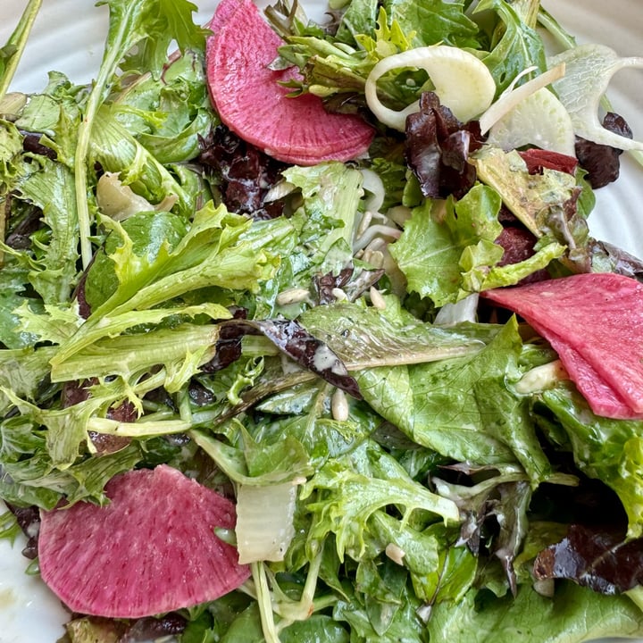 photo of Panama 66 Green Goddess Salad shared by @sandrews on  10 Aug 2024 - review