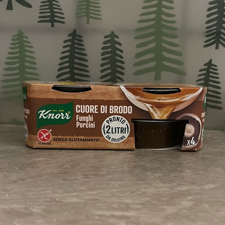 photo of Knorr Cuore di Brodo Funghi Porcini shared by @elenaandrea on  27 Feb 2024 - review