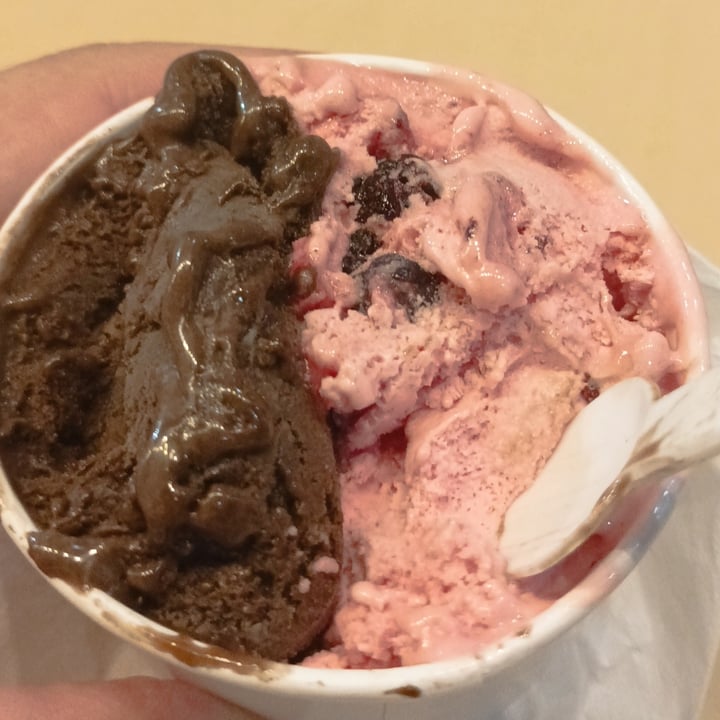 photo of Fiore Helados Helado De Chocolate Y Frutos Del Bosque shared by @roxber on  24 Feb 2025 - review