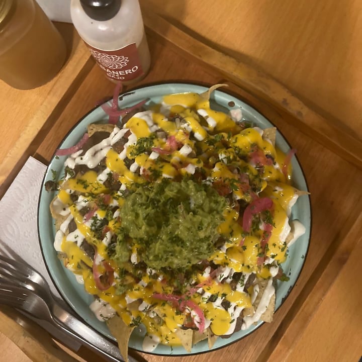 photo of Dalia Plant Power . Mex Special vegan nachos with seitan shared by @bebo9929 on  27 Apr 2024 - review
