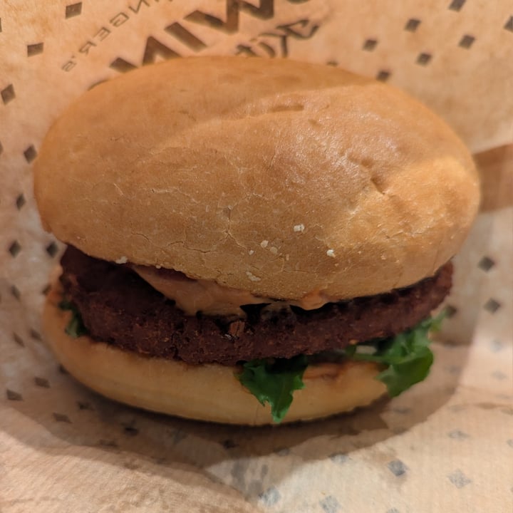 photo of Swing Kitchen Swing Burger shared by @alainasparagus on  27 Jun 2024 - review