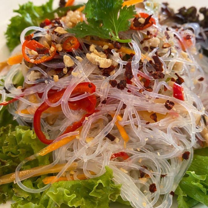 photo of Clover Plant Based Kitchen and Bar Thai Style Glass Noodle Salad shared by @brandon on  24 Sep 2023 - review