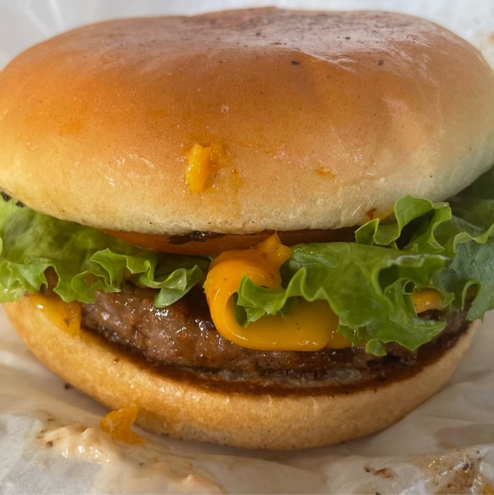photo of Earth Burger Earth burger shared by @islandbird on  13 Nov 2024 - review