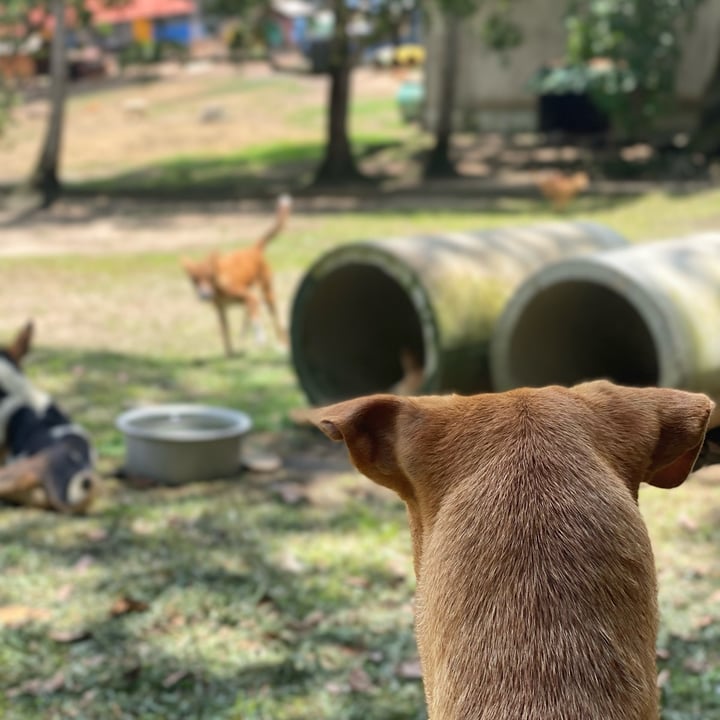 photo shared by @whereslucie on  23 Aug 2024 - post