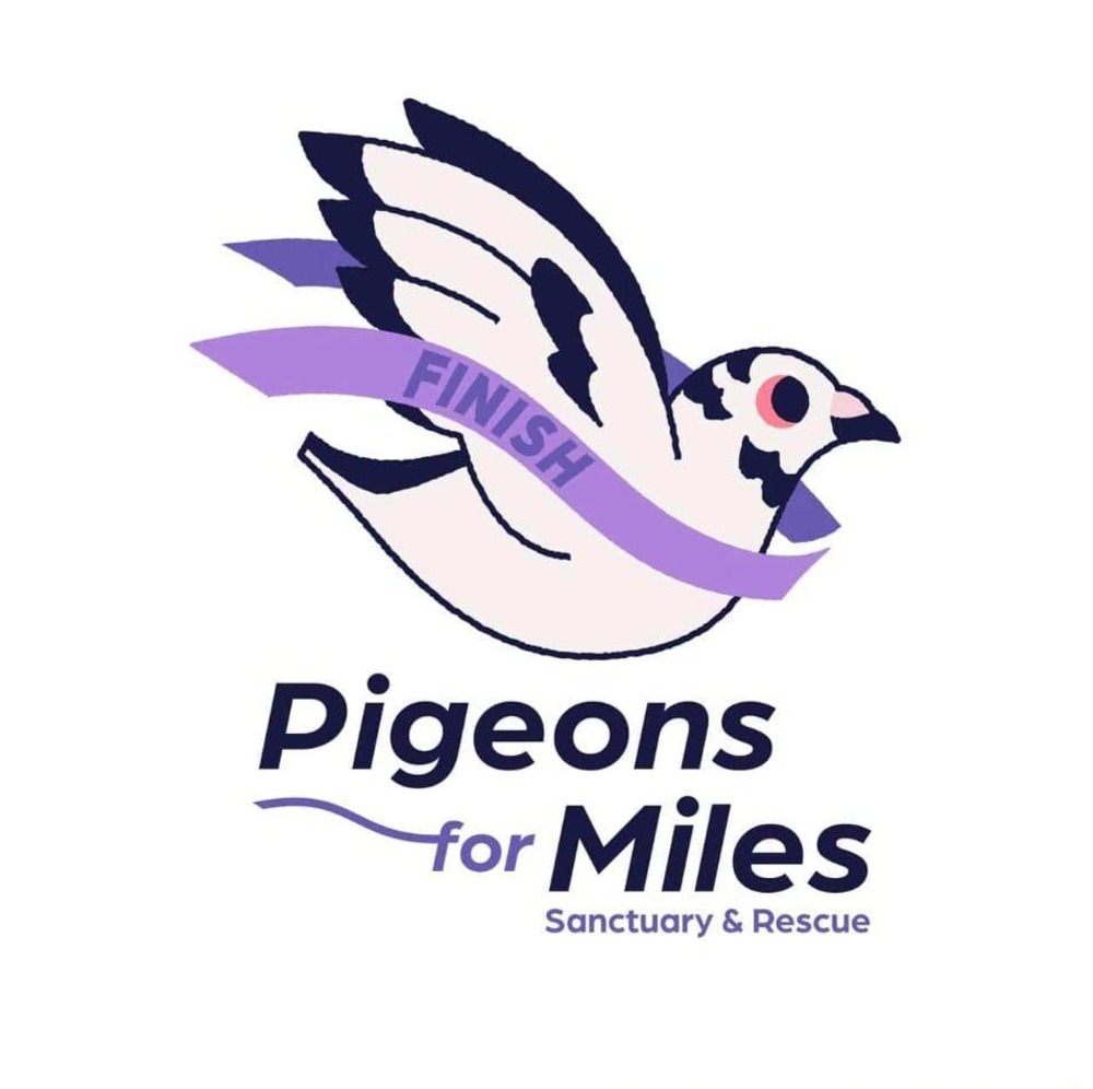 Pigeon For Miles logo