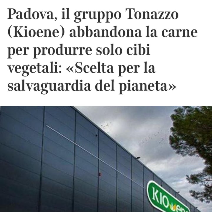 photo of Kioene Cotoletta vegetale shared by @pippocat on  22 Oct 2024 - review