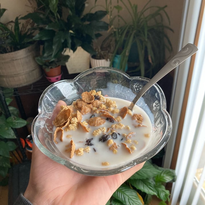 photo of Cadia RAISIN BRAN OAT CLUSTERS & BRAN FLAKES CEREAL shared by @lansterm on  03 Jan 2024 - review