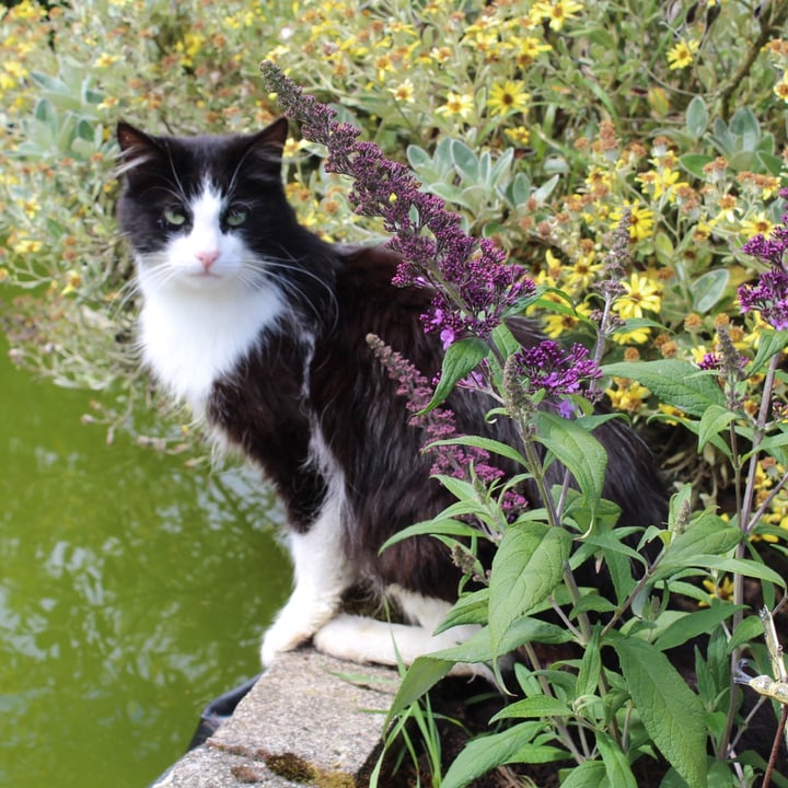 photo shared by @willows-animals on  10 May 2024 - post