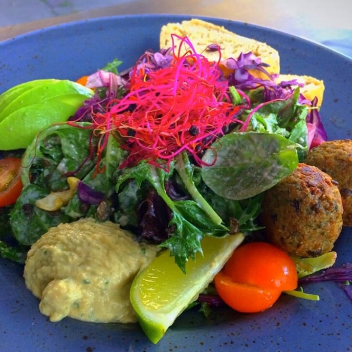 photo of ARK by Souls Viking Salad shared by @cosmicgalaxygirl on  15 Feb 2020 - review