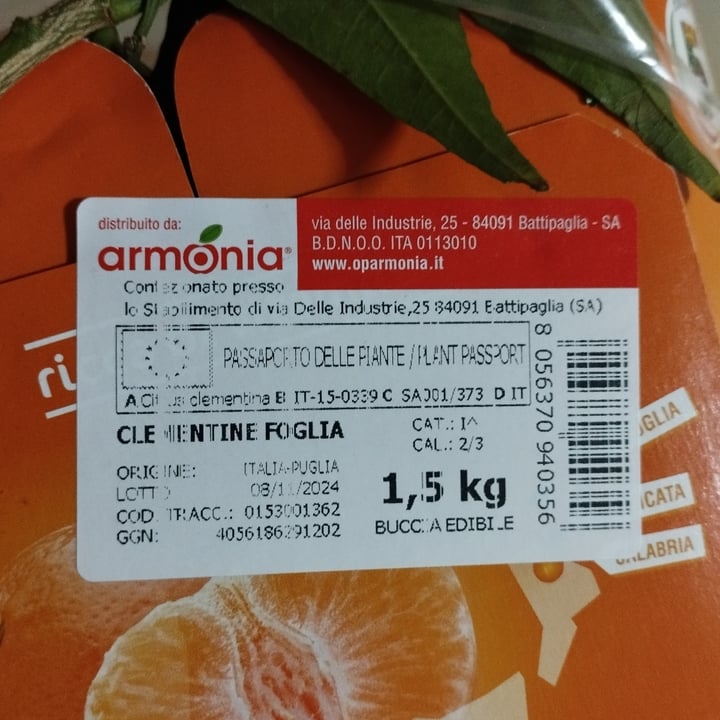 photo of Armonia Clementina Foglia shared by @caffy on  12 Nov 2024 - review