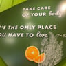 The Green Moustache Organic Café
