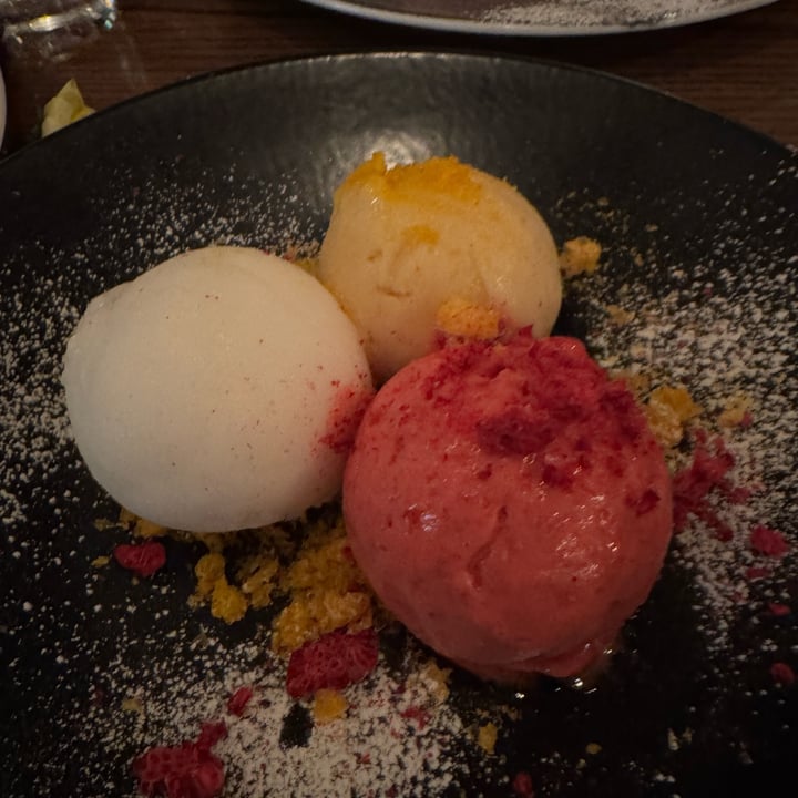photo of Baduzzi Assortment of seasonal sorbets shared by @hoovedhaven on  11 Sep 2025 - review
