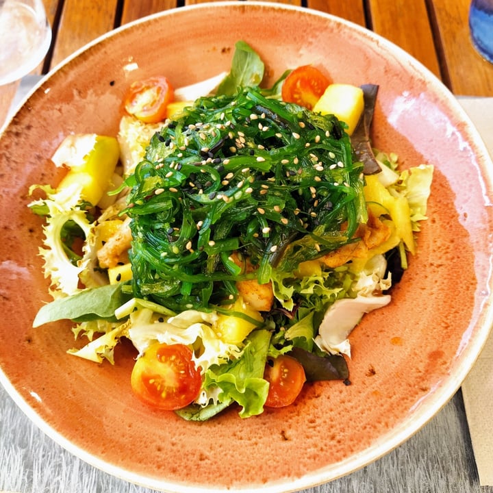 photo of UDON Plaza Mar 2 Vegan Ponzu Salad shared by @lidiaaguilar on  19 Aug 2023 - review