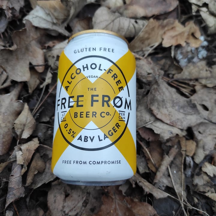 photo of The Free From Beer Co Pilsner Lager shared by @mrd2020 on  04 Feb 2024 - review