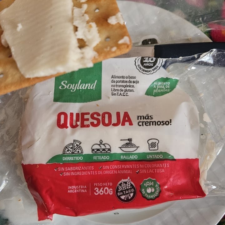 photo of SoyLand Queso de soja/quesoja shared by @berbela on  21 Aug 2023 - review