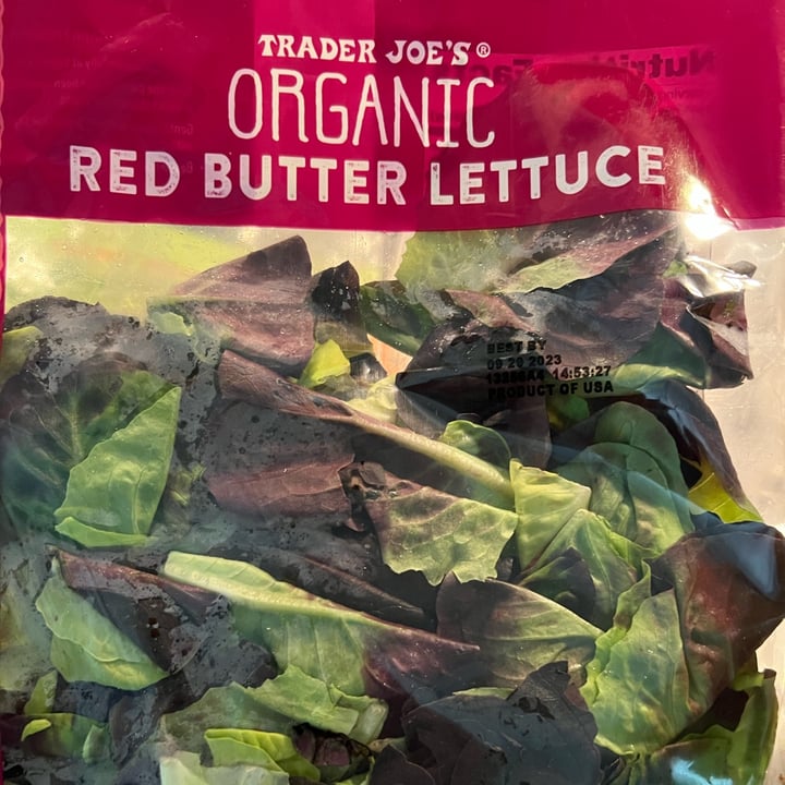 photo of Trader Joe's organic red butter lettuce shared by @allycat38 on  23 Sep 2023 - review