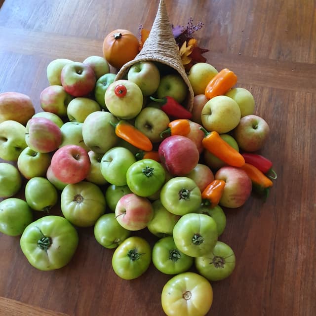 Photo of the dish “U-Pick Peppers”