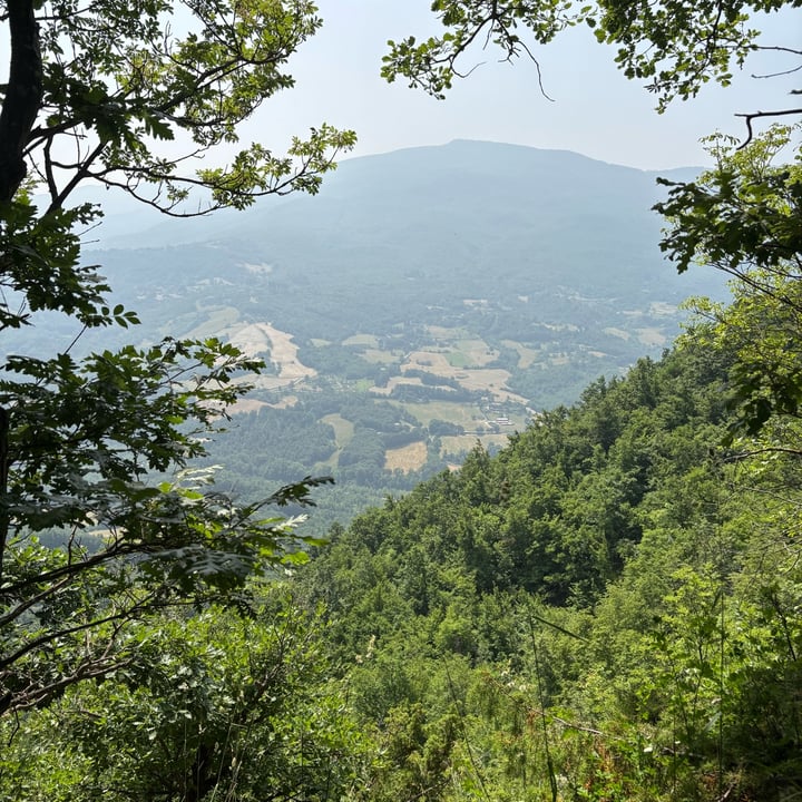 photo of Farm Vegan The Village Of Tara Insalatina di funghi e rucola shared by @perlemammemucche on  15 Jul 2025 - review