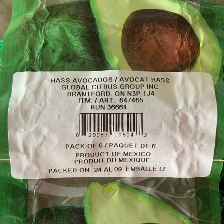 photo of Global Citrus Group Hass Avocados shared by @louisg on  21 Apr 2024 - review