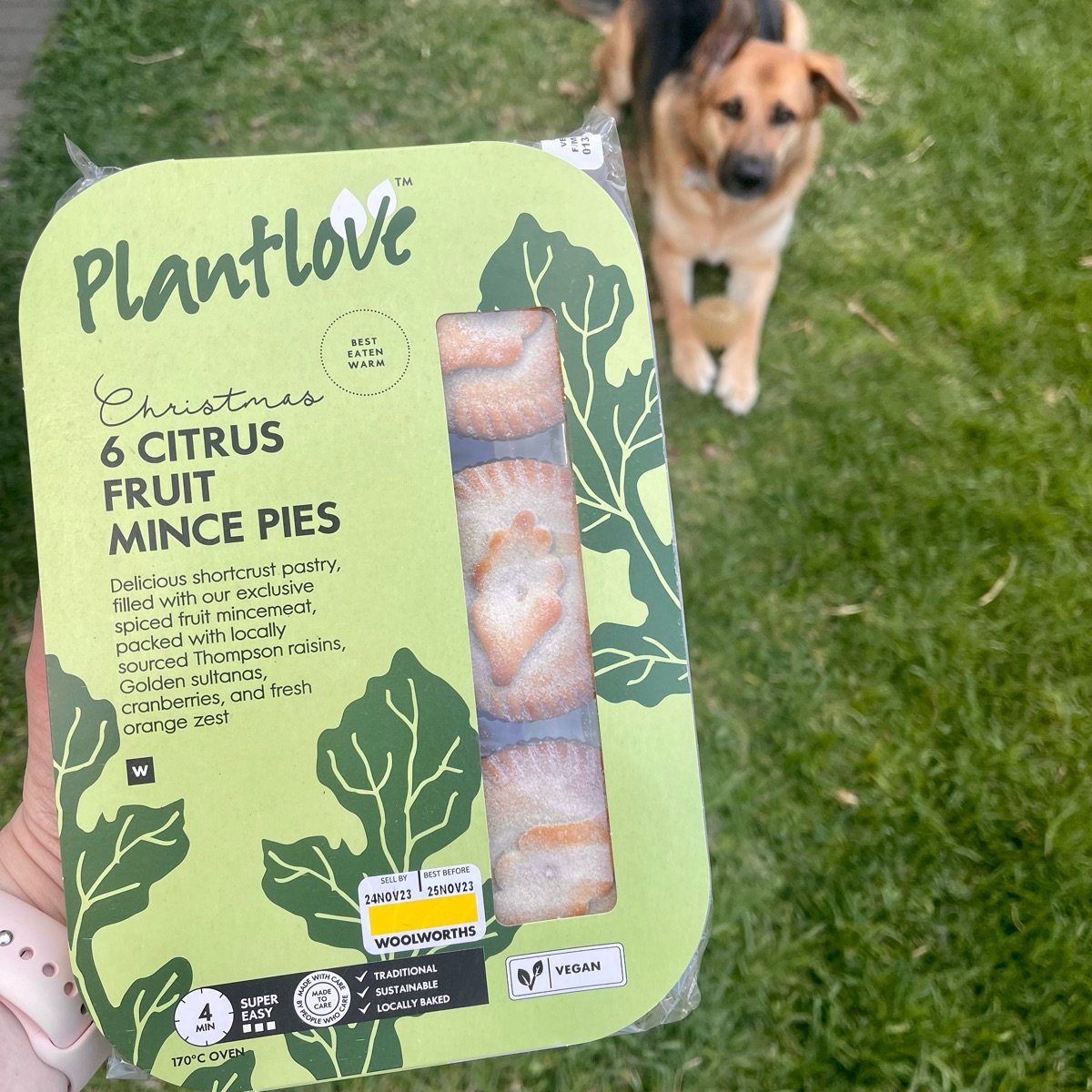 Woolworths Food 6 Citrus Fruit Mince Pies Reviews abillion