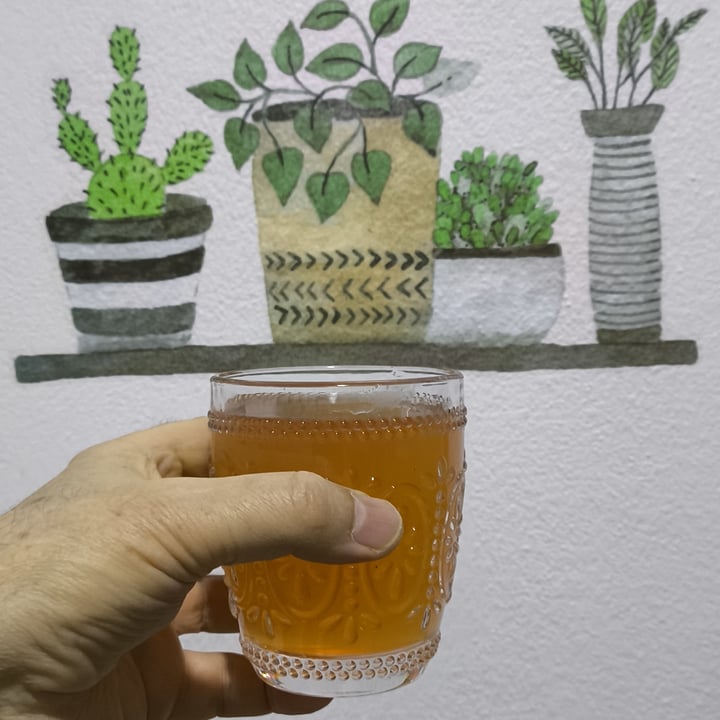 photo of Kodai Fermentati Kodai Bitter shared by @fernandoveganboccia on  06 Apr 2025 - review