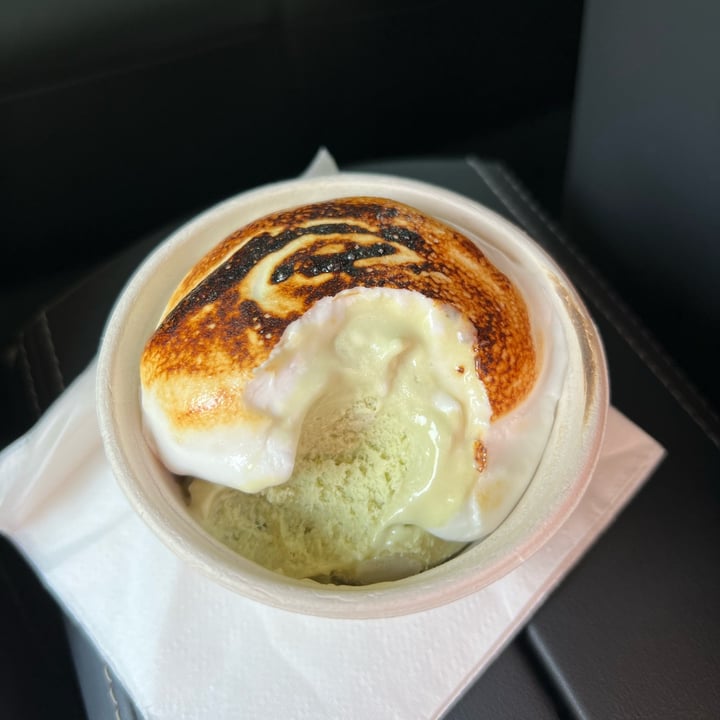 photo of Luv Fats Ice Cream Pandan Ice Cream shared by @liberationbby on  10 Sep 2023 - review