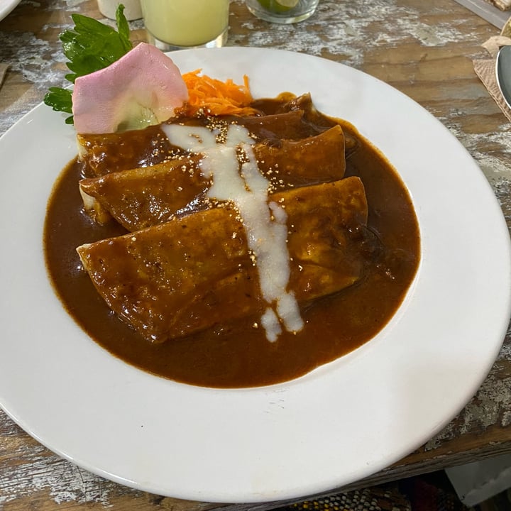 photo of Vegandru Enchiladas De Mole shared by @elenapera on  06 Dec 2023 - review