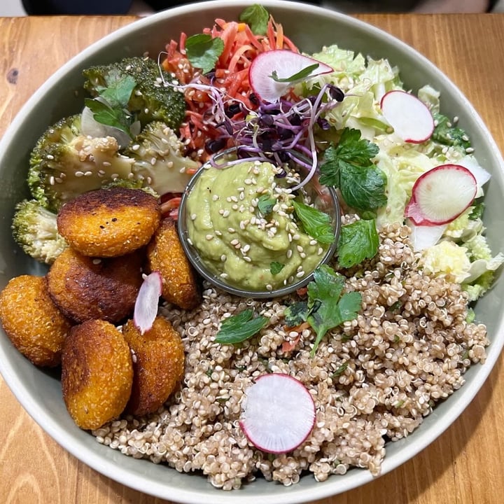 photo of Millefolium Bol falafels shared by @mam64 on  28 Jun 2024 - review