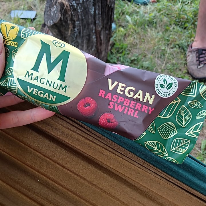 photo of Magnum Vegan Raspberry Swirl shared by @ecomecum on  05 Aug 2024 - review
